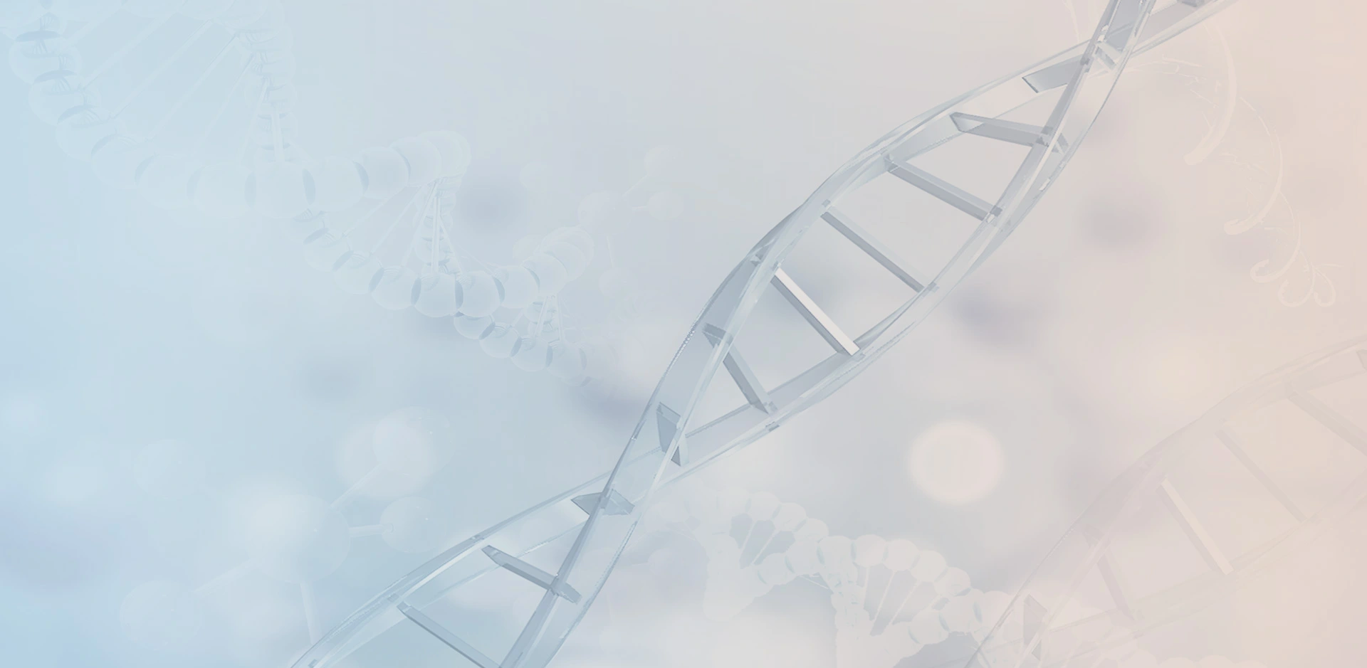 Applying Next-Generation Sequencing (Ngs) To Help You Explore The World Of Genome