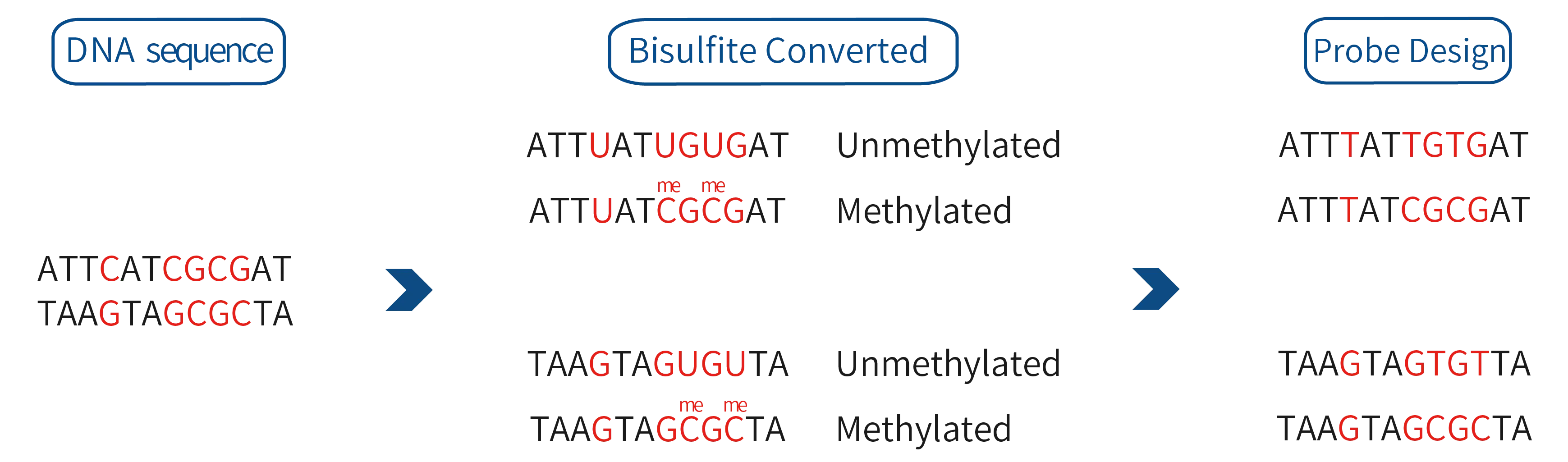 Dual-strands Dual-methylation status Designs for CG Sites