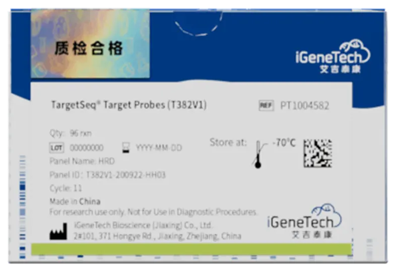 Understanding the Importance of HRD and HRR Gene Panels in Cancer Testing