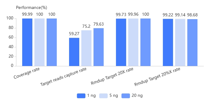 Wide Range of Input Amount