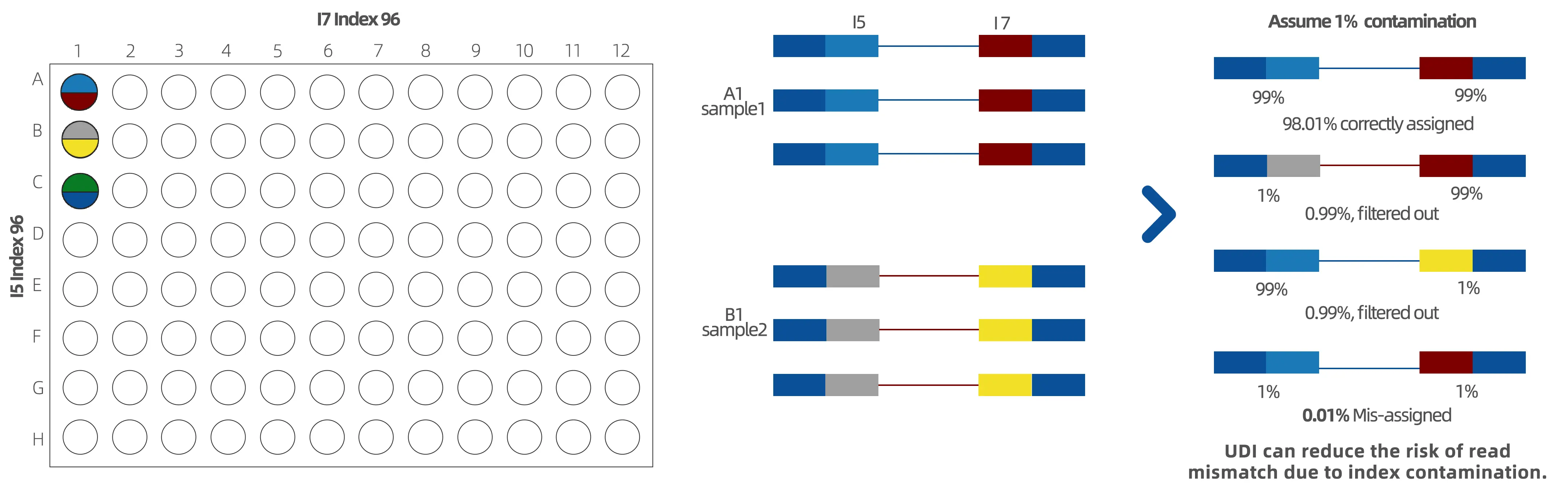 Adapter & UDI Primers Technical Principle