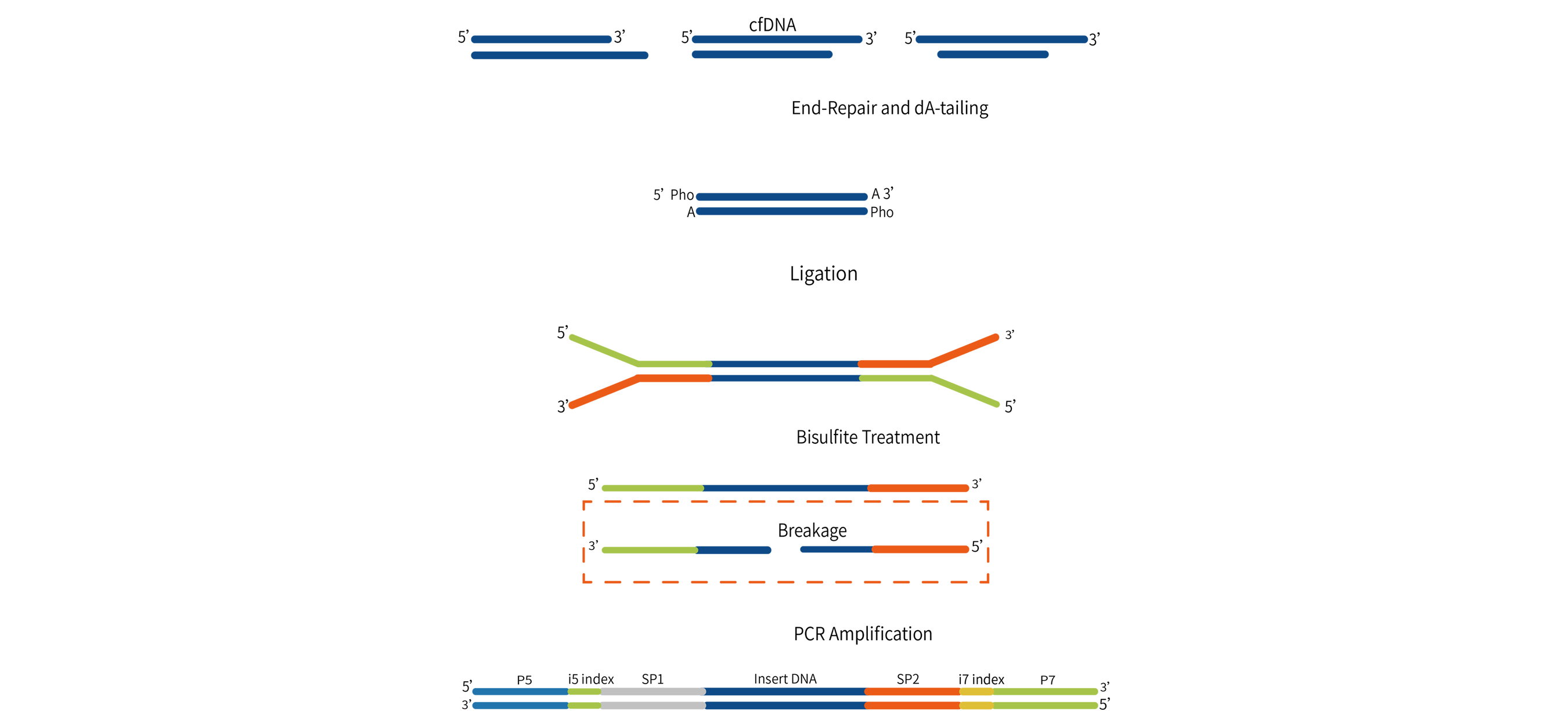 Technical Principle