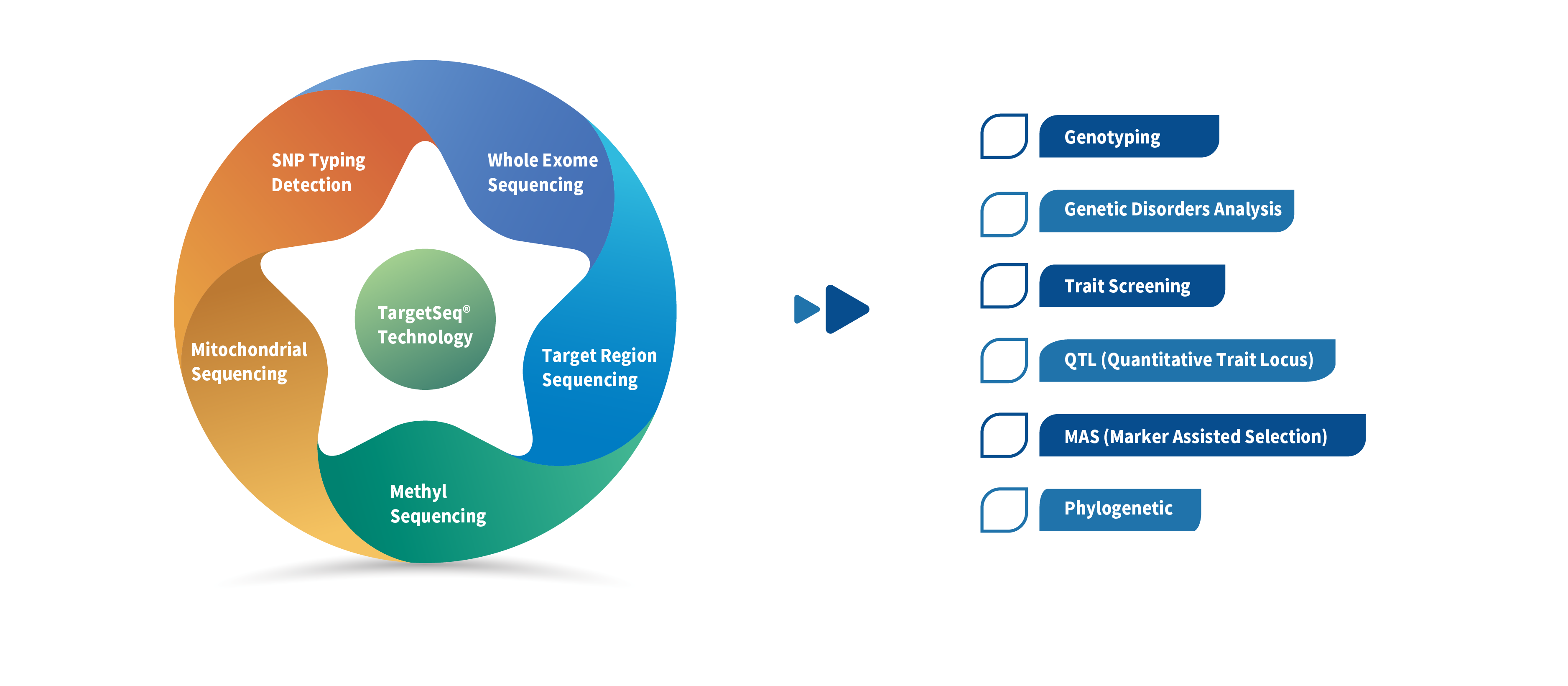 target-sequencing-solution-for-agriculture.png