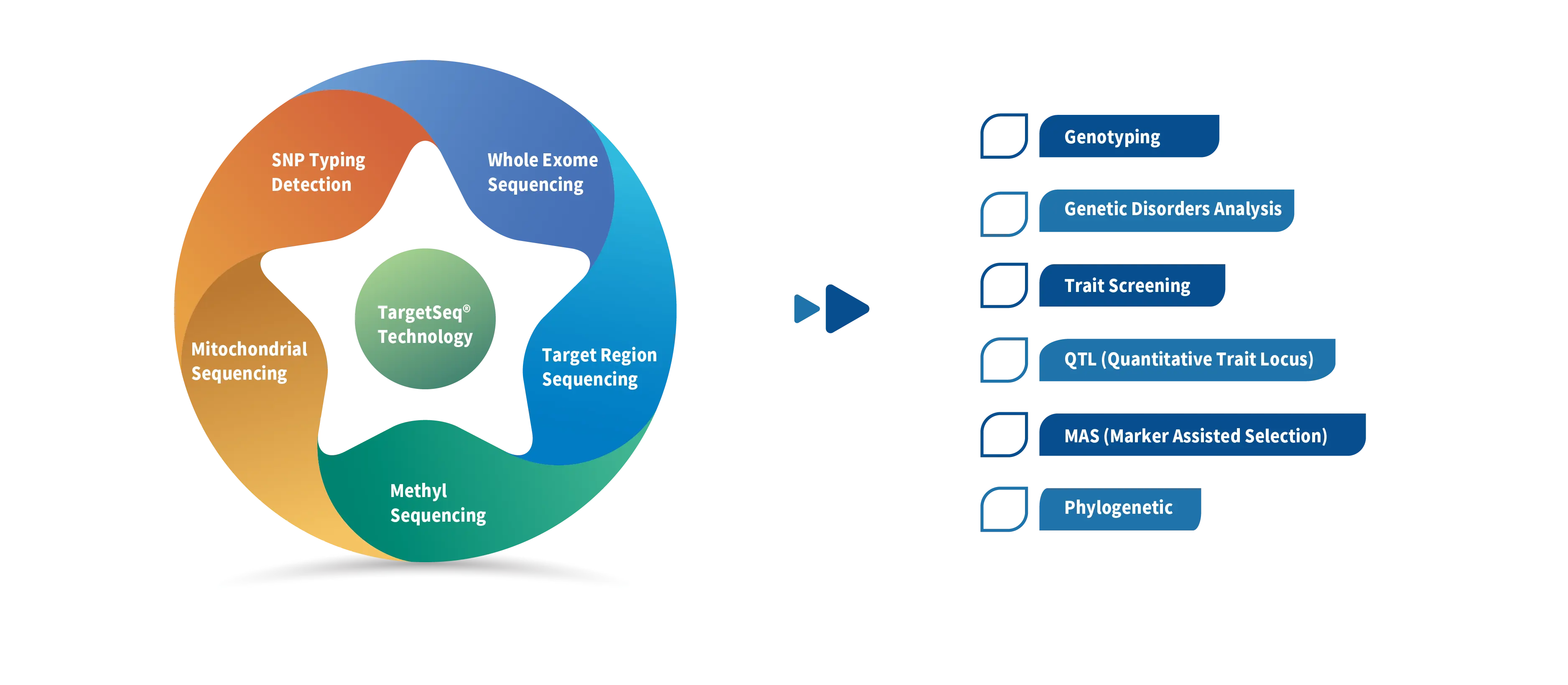 iGeneTech TargetSeq Enrichment Kit provides support for Intrahepatic cholangiocarcinoma (ICC) study